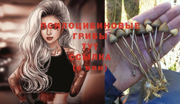 спайс Баксан