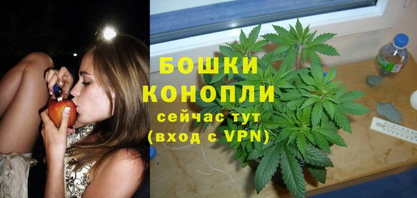спайс Баксан