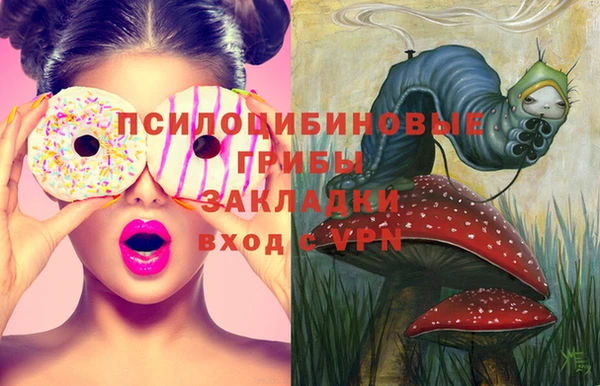 спайс Баксан