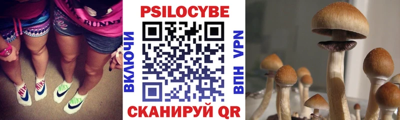 наркошоп  Белая Калитва  OMG как зайти  Псилоцибиновые грибы Cubensis 